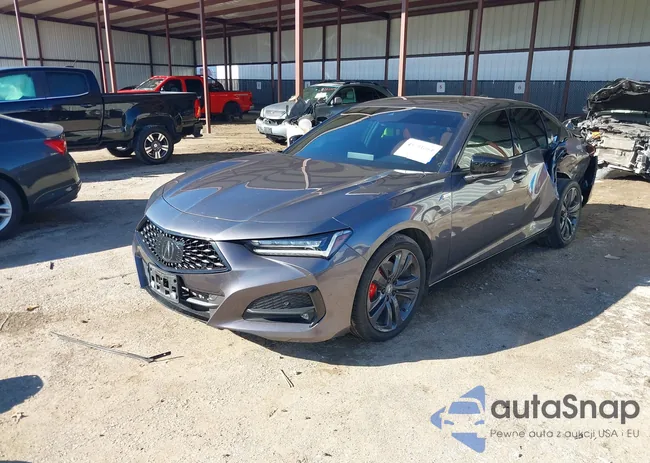 19UUB5F54PA005588: 43791664