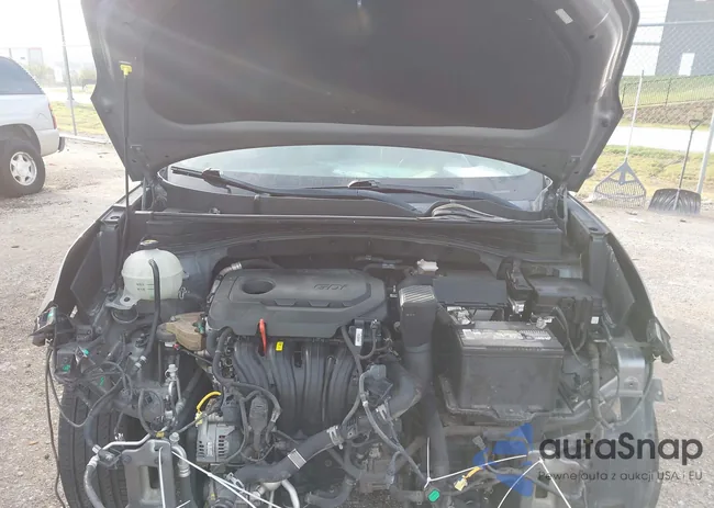 KNDPN3AC1H7167447: 43791834