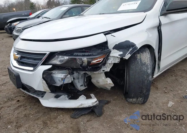 2G11X5SL8E9264061: 43793318