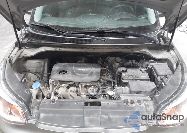 KNDJN2A29K7021229: 43794271