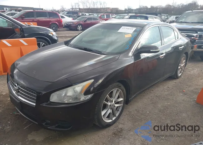 1N4AA5AP1BC810853: 43794311