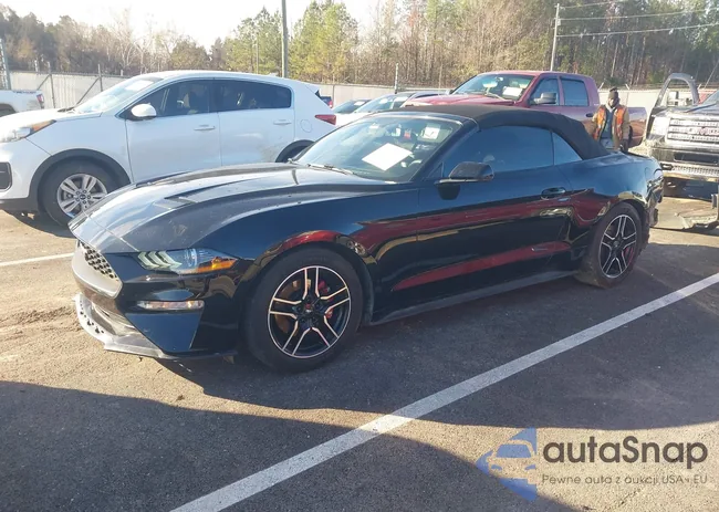 1FATP8UH1J5138874: 43794412