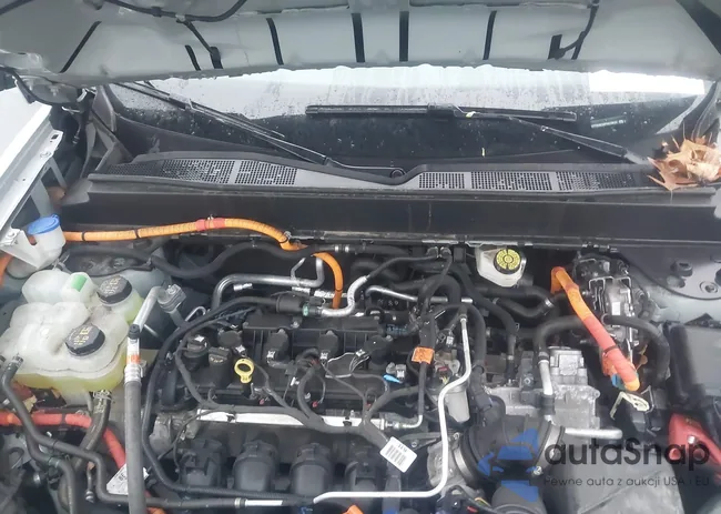 3FTTW8E34PRA79633: 43793853