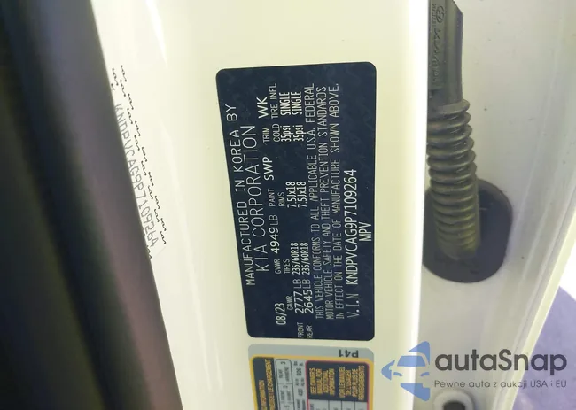 KNDPVCAG9P7109264: 43794954