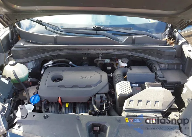 KNDP6CAC2L7755380: 43795007