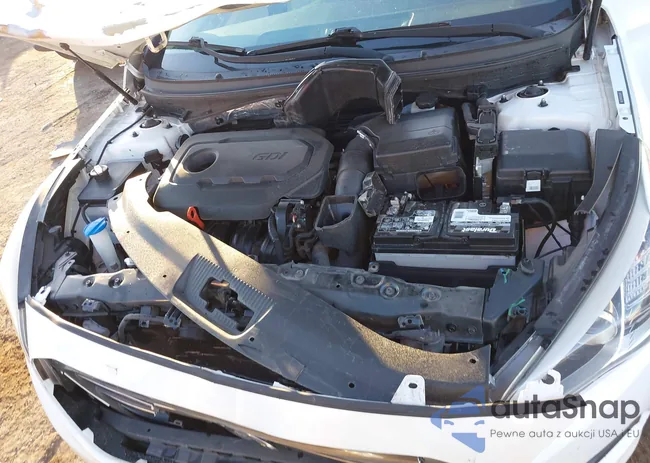 5NPE24AF9GH324247: 43795238