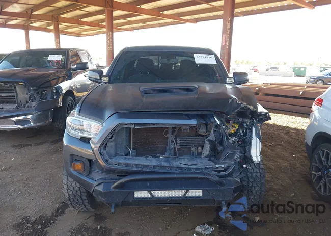 3TMDZ5BN3GM005438: 43794816