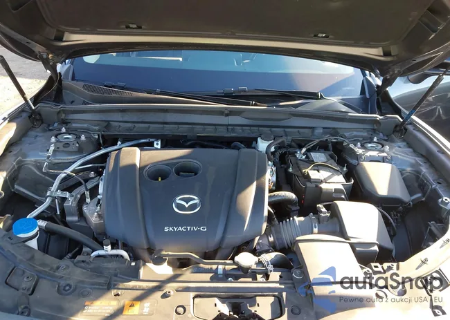 7MMVABAM1RN202328: 43794896