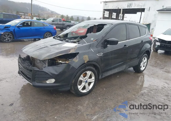 1FMCU9GX4EUC18351: 43794927