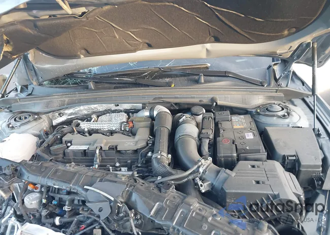 KNAG44J81S5341022: 43796442