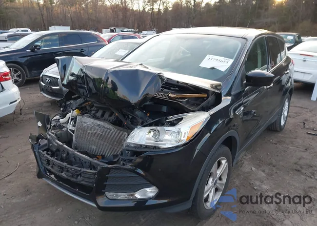 1FMCU9G96GUA16423: 43795655