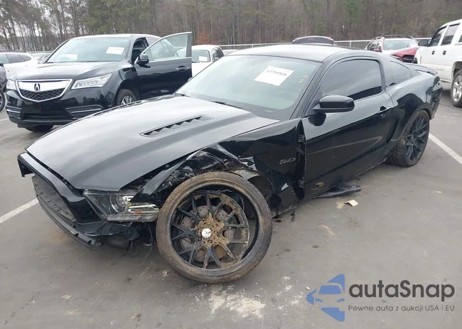 1ZVBP8CF6D5247399: 43795908