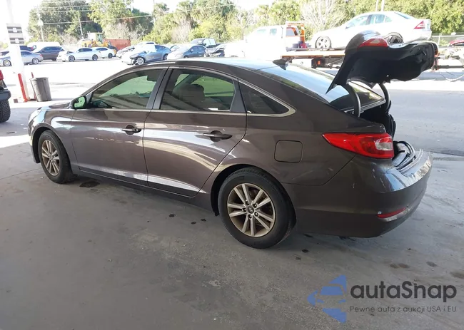 5NPE24AF0FH196446: 43797372