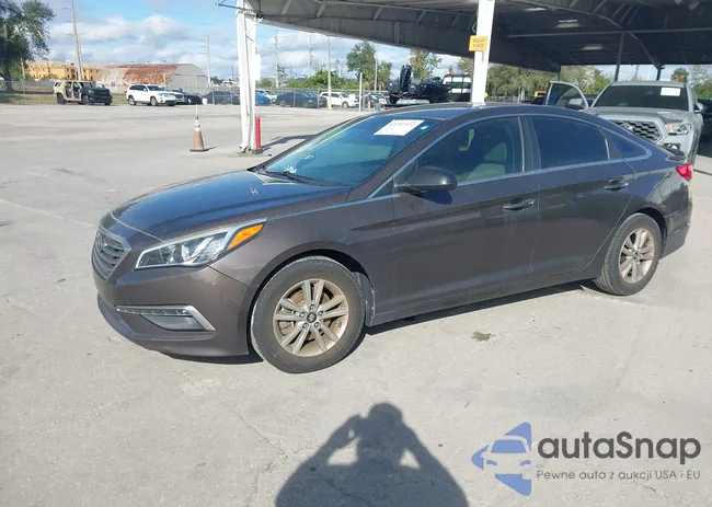 5NPE24AF0FH196446: 43797372