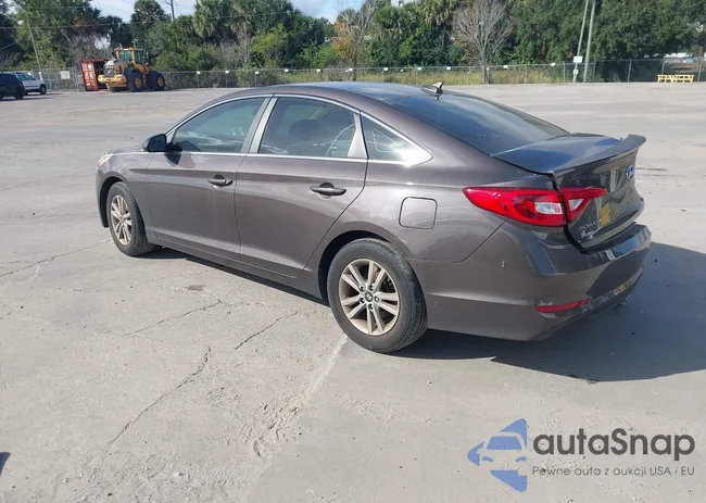 5NPE24AF0FH196446: 43797372