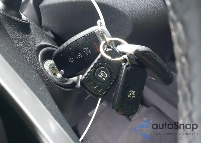 5XYPGDA39GG096919: 43796620