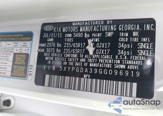 5XYPGDA39GG096919: 43796620