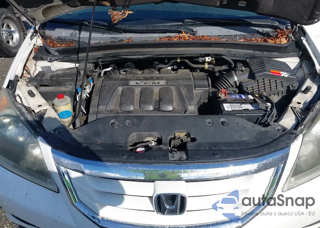 5FNRL38848B007539: 43796914