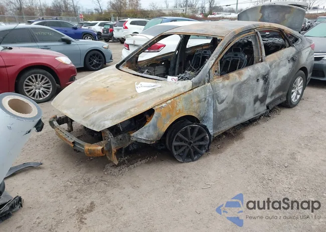 5NPE24AF6JH707117: 43798438