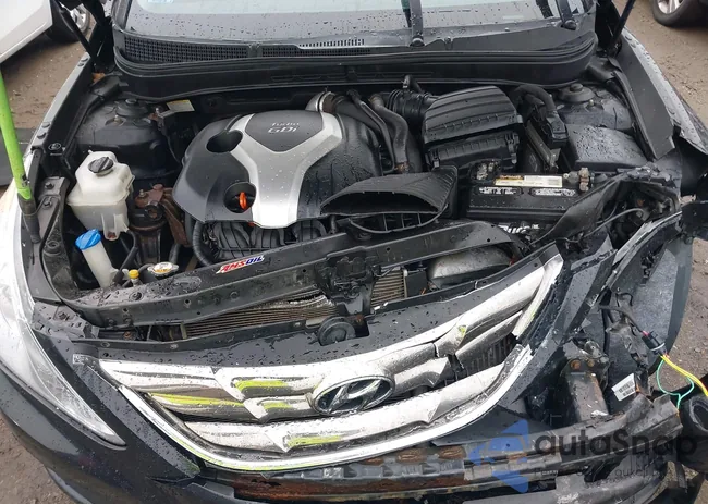 5NPEC4AB9DH590051: 43799343