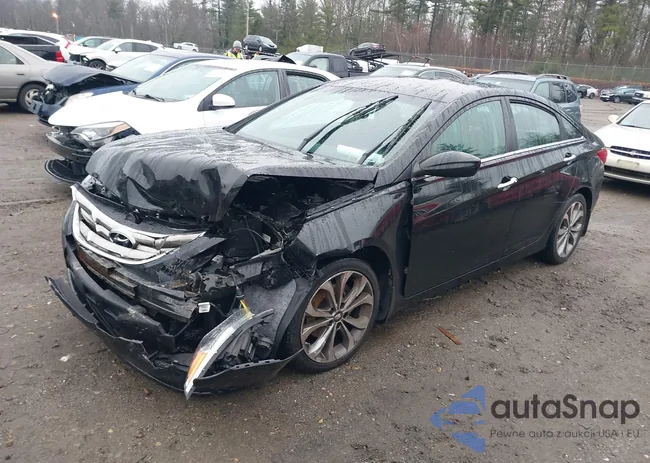 5NPEC4AB9DH590051: 43799343