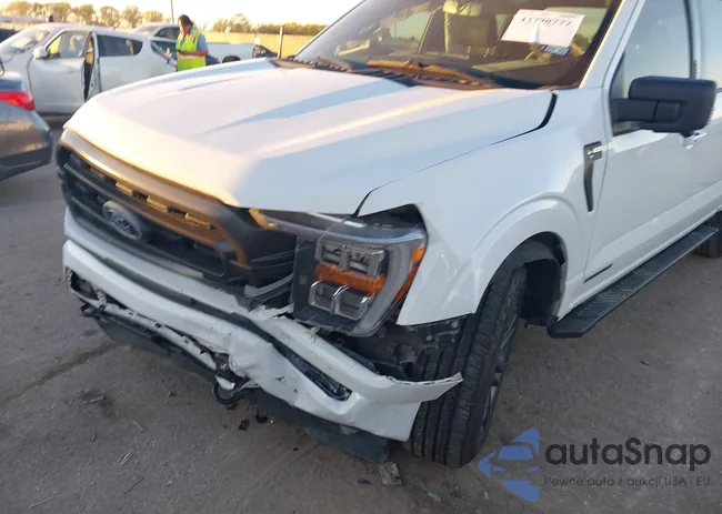 1FTFW1ED0PFD06407: 43798777