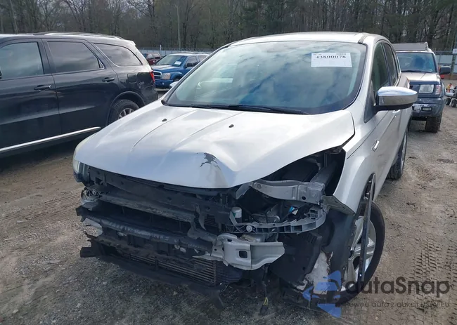 1FMCU0G93EUE24368: 43800078