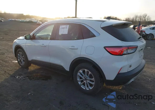 1FMCU9G65LUB55569: 43800338