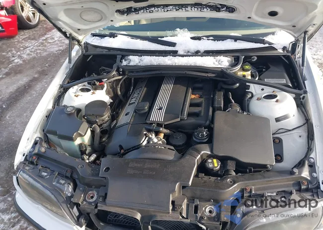 WBAEU33405PR20538: 43801152