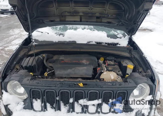 ZACCJBCT0FPB66454: 43801170