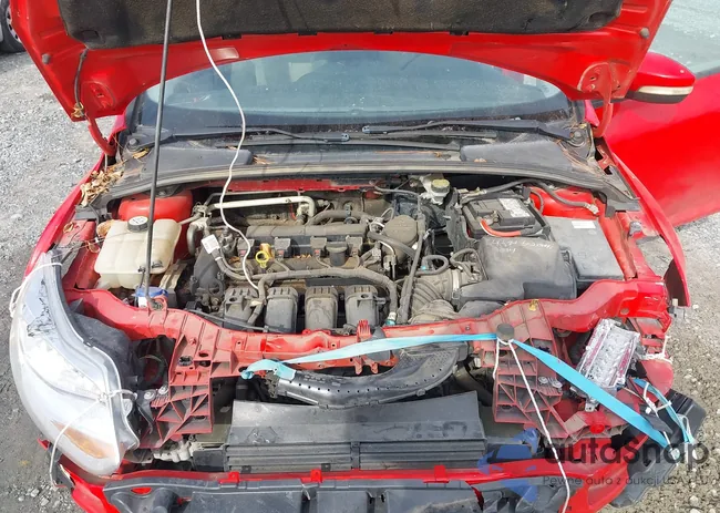 1FADP3F20DL136324: 43801443