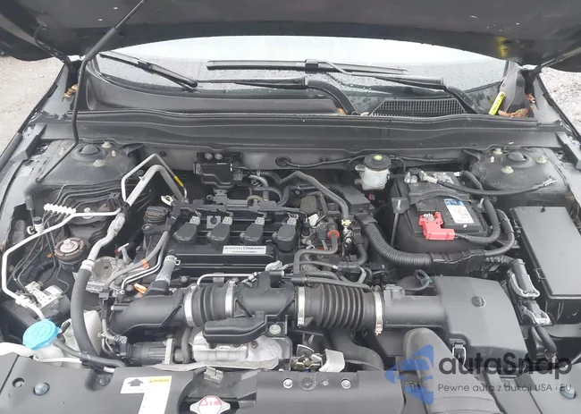 1HGCV1F38LA157913: 43801523