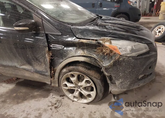 1FMCU9J90EUE29220: 43802287