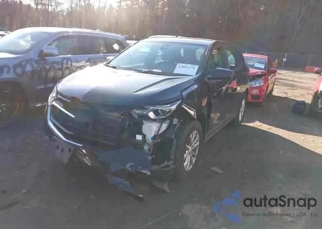 2GNAXSEV3L6149473: 43802375