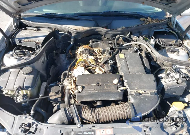 WDBRF40JX5F583704: 43802413