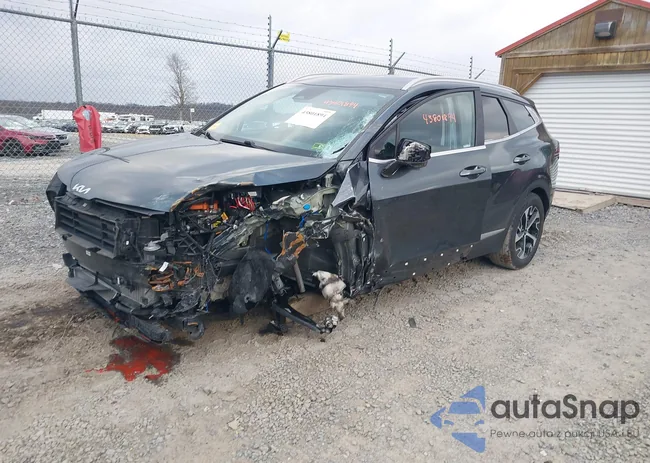 KNDPVCAG4P7067778: 43801894