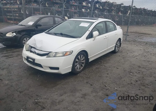 19XFA1F81AE000687: 43801903