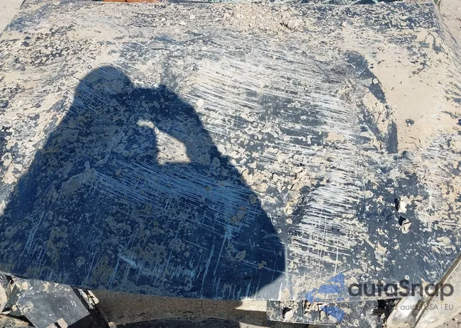 3KPF24AD3ME368229: 43803016