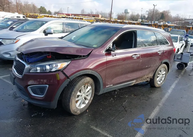 5XYPGDA54HG229864: 43803150