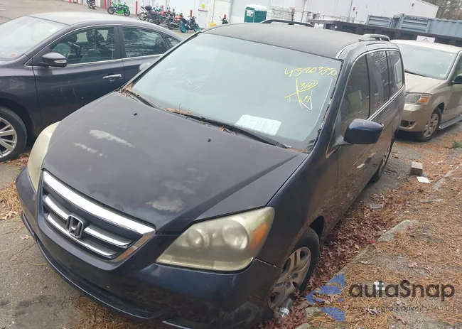 5FNRL38466B111413: 43803350