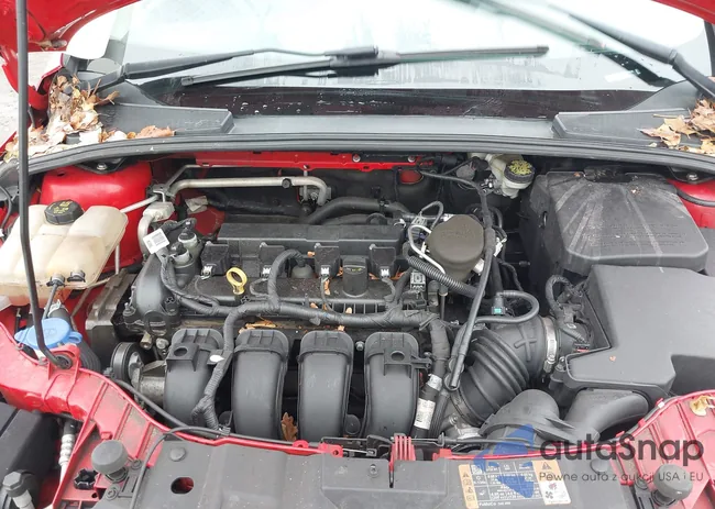 1FADP3K23GL290956: 43803467