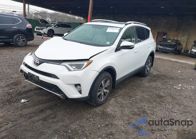 JTMRFREV8GJ094213: 43804162