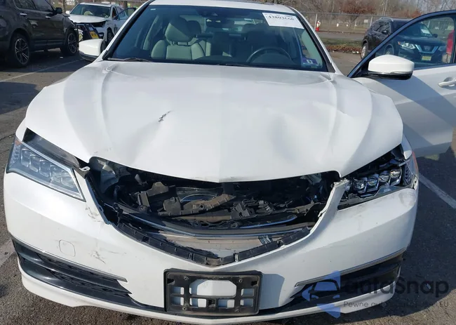 19UUB3F54FA006484: 43803660