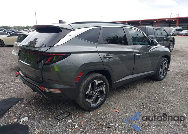 5NMJCCAE6NH034720: 43805152