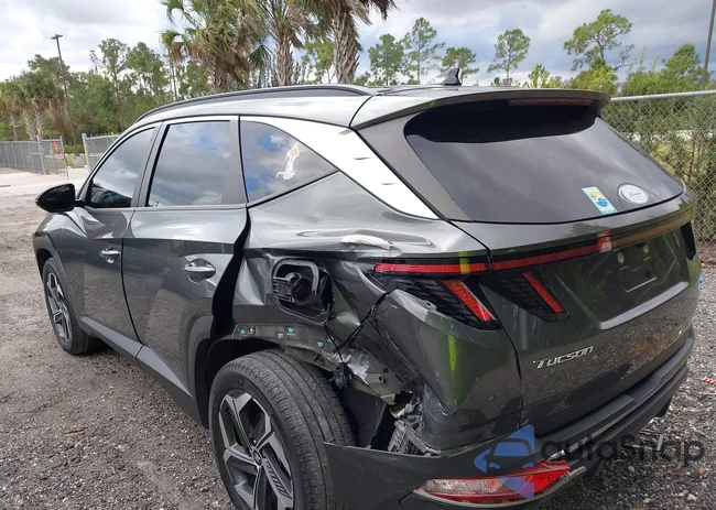 5NMJCCAE6NH034720: 43805152