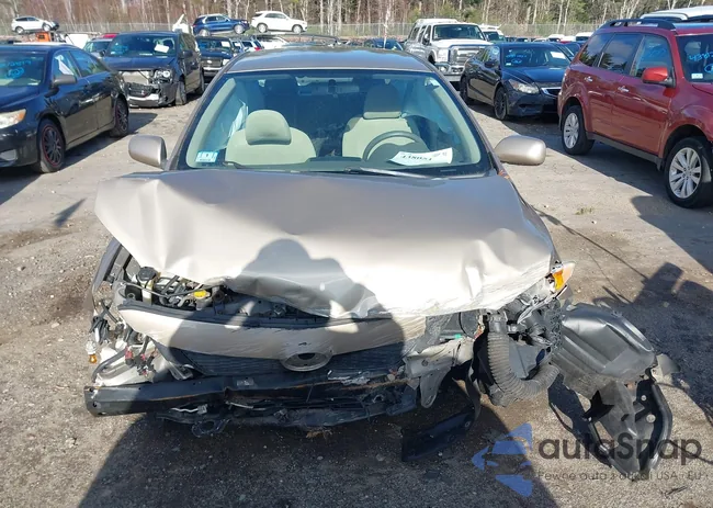 1NXBU4EEXAZ185530: 43805191