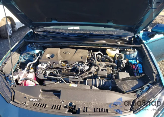 4T1DBADK9SU522484: 43805246