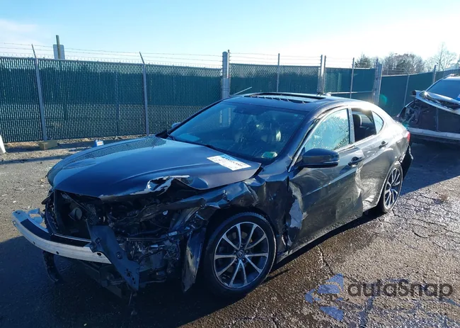 19UUB2F7XFA000328: 43805386