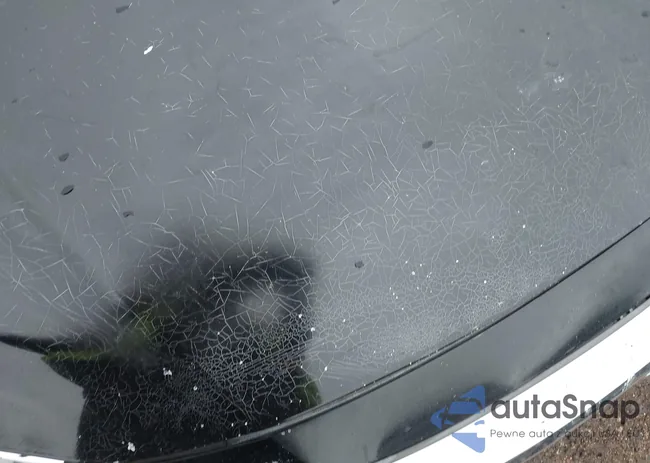 19XFC1F34GE030774: 43805402