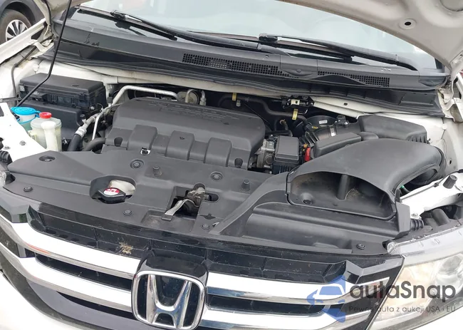 5FNRL5H92FB007976: 43804596